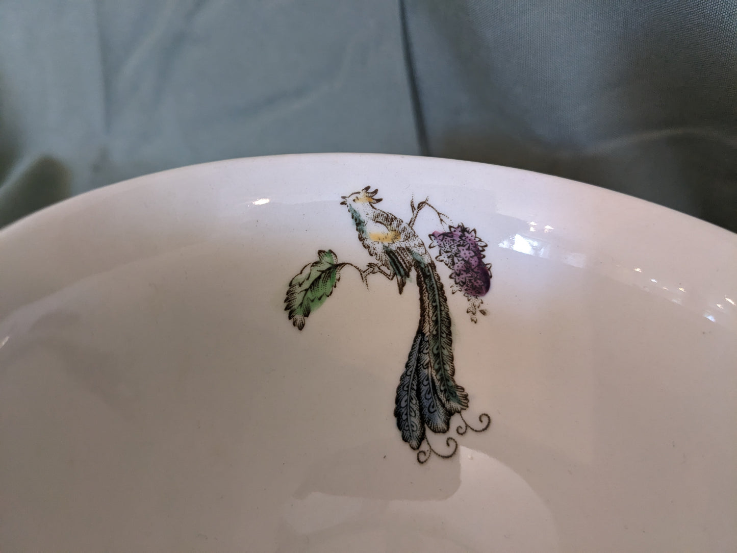 Johnson Brothers Bird of Paradise Teacup